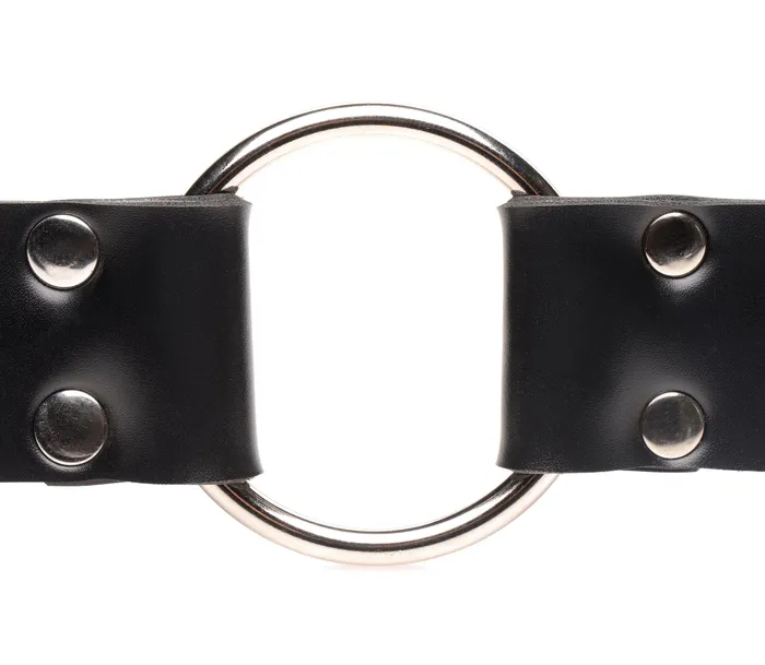 Strap and Ride Dildo Strap Harness | Master Series Female Sex Toys